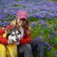 Hiking to Phantom Falls, California’s Best Spring Wildflower Hike