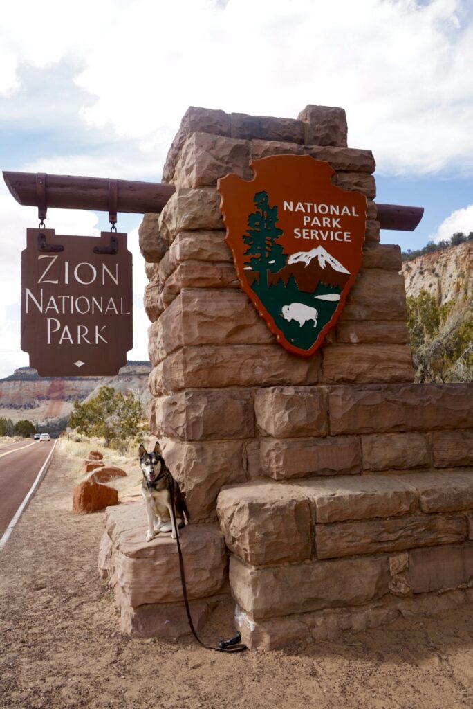 Visiting Zion National Park with a Dog The Ultimate DogFriendly