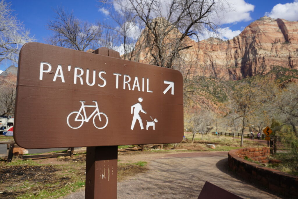 Visiting Zion National Park with a Dog The Ultimate DogFriendly