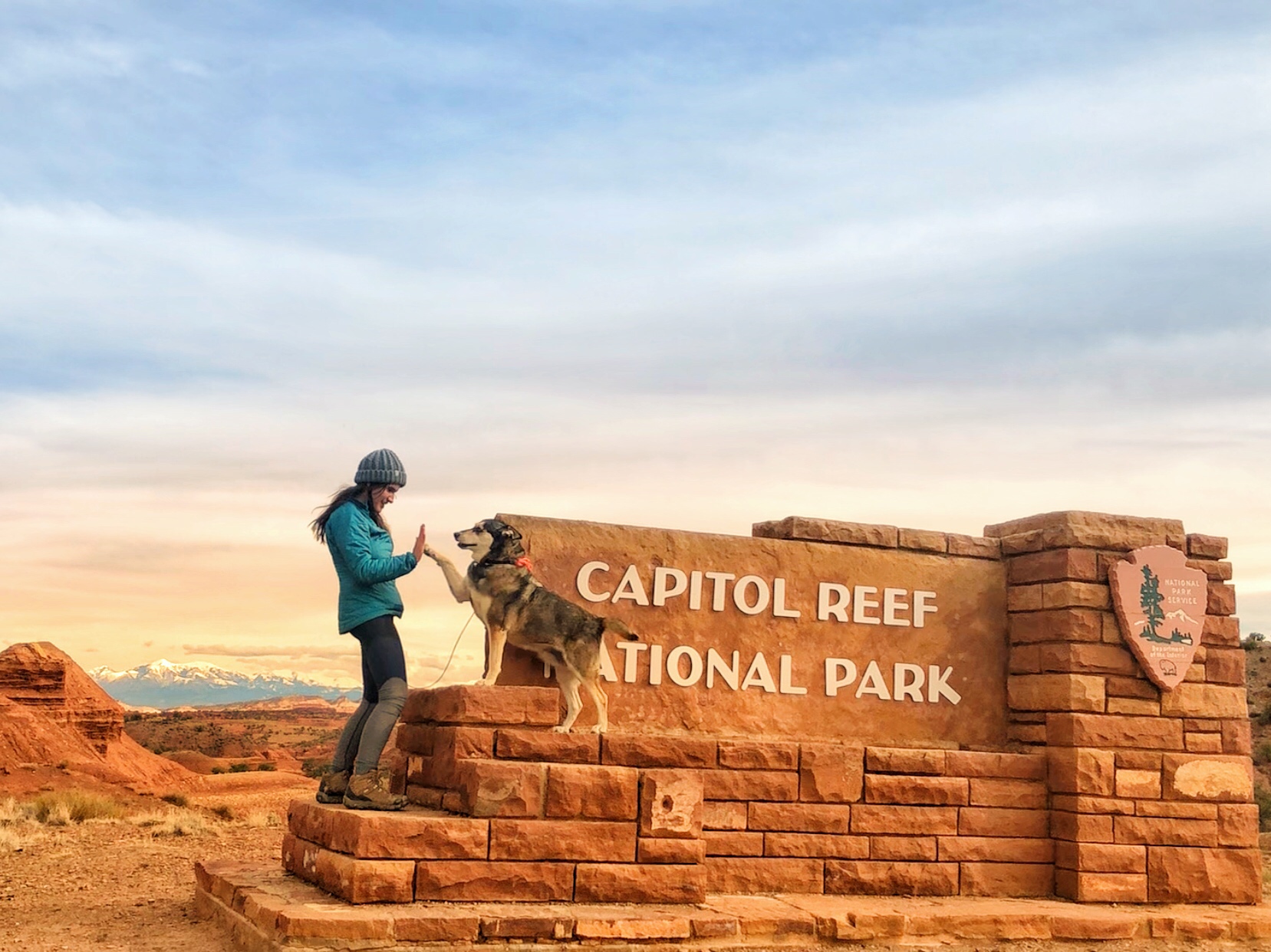 Ziek persoon Bij wet stoom Capitol Reef National Park with a Dog | Dog-Friendly Guide to Capitol Reef  » Bonjour Becky