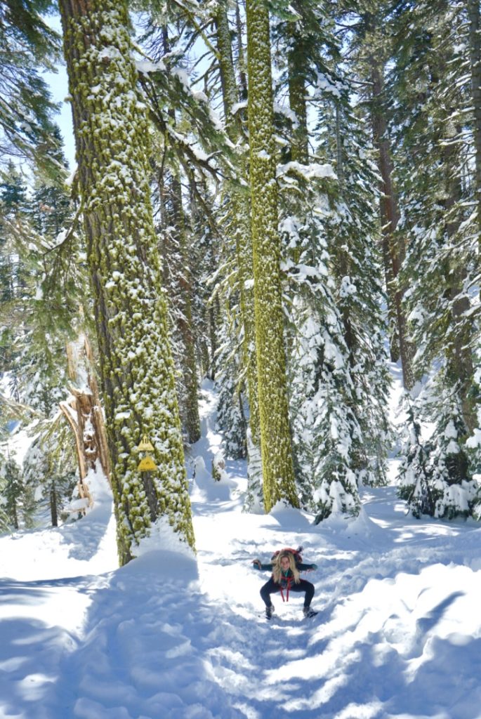 Watch out for Trail Goblins when snowshoeing to Dewey Point in Yosemite National Park 