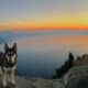 Visiting Crater Lake National Park with Dogs | Dog-Friendly Guide to Crater Lake