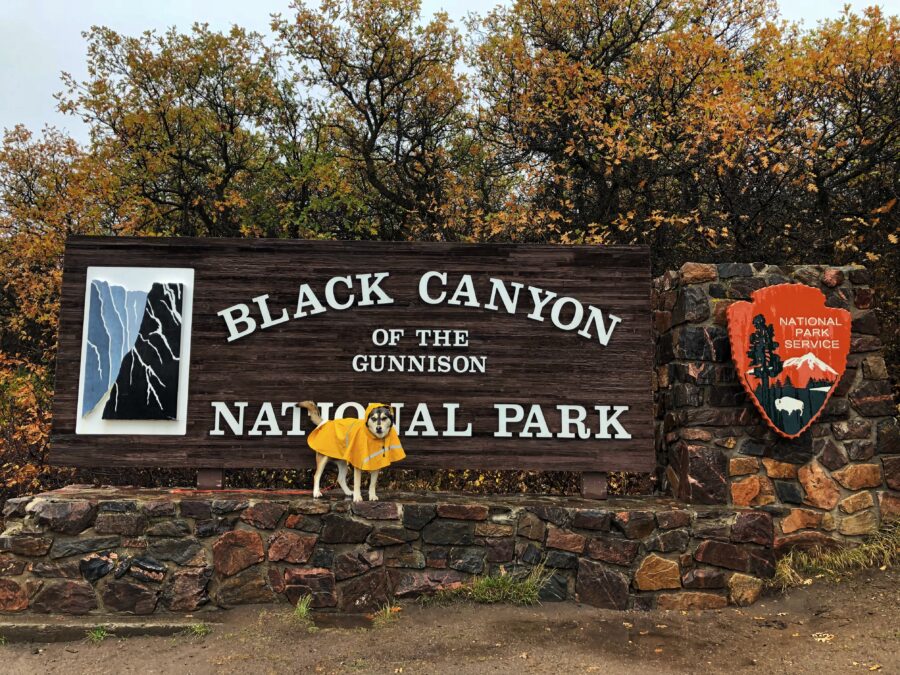 Dogs at Black Canyon of the Gunnison National Park
