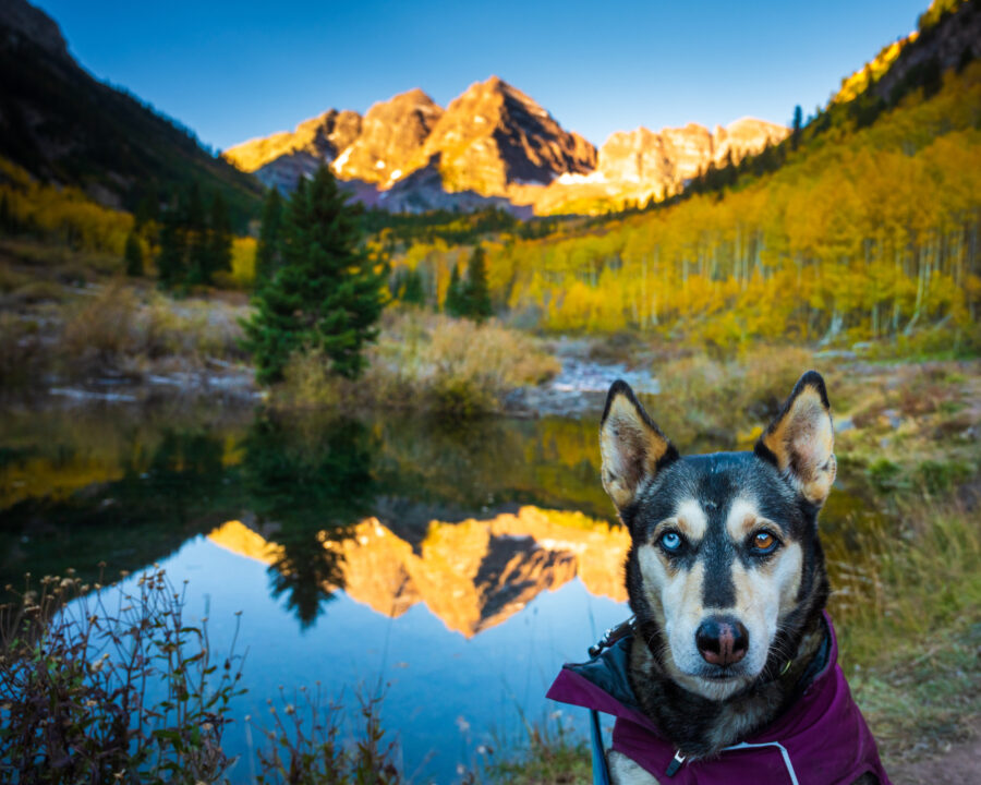 Maroon Bells sunrise with a dog